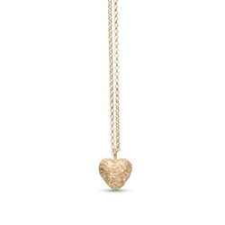 Catwalk Exclusive - Halsband Stardust Heart Förgyllt Silver