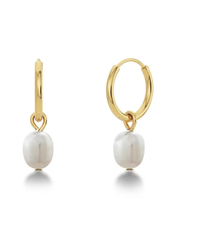 Edblad - Perla Hoops Gold