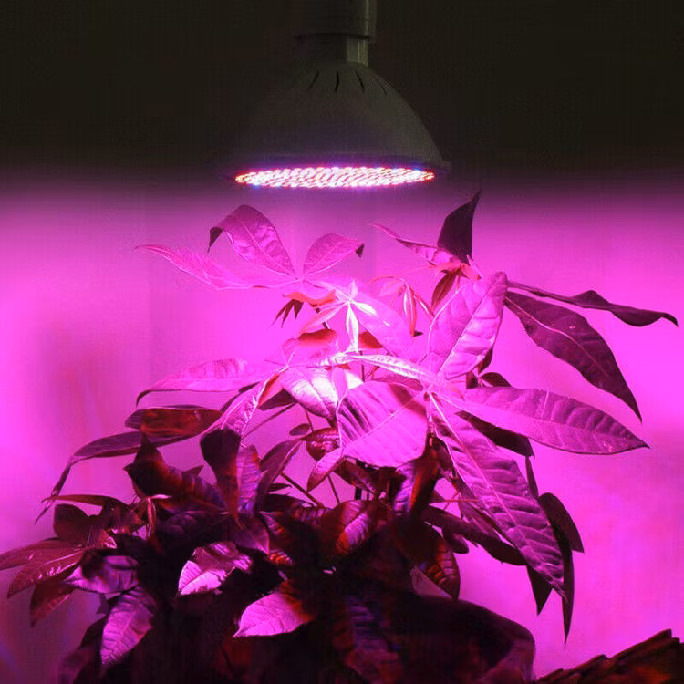 LED Växtlampa med Nasa Teknologi E27 200 LED