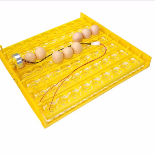 Äggkläckningsmaskin inkubator - 63 ägg