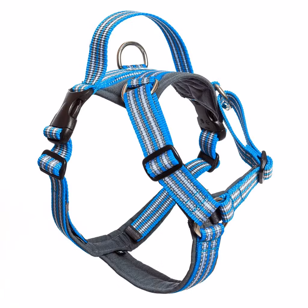 Metizo Future Walking - sele (antidrag,ergonomisk,reflex) Turkos från XXS till XXL