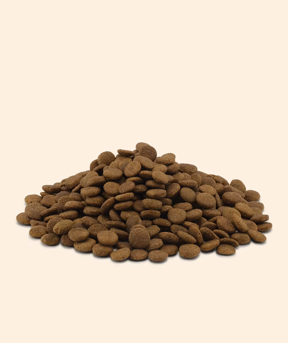ESSENTIAL ETERNAL LIVING 10 kg. 90 % växtbaserat och 100 % (ovo) vegetariskt