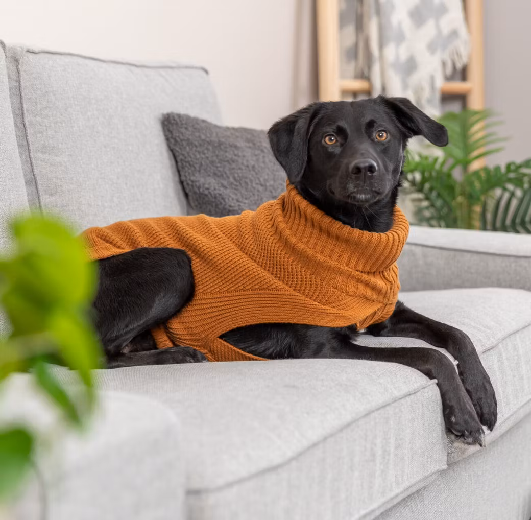 CityStyle Berlin pullover, rostbrun