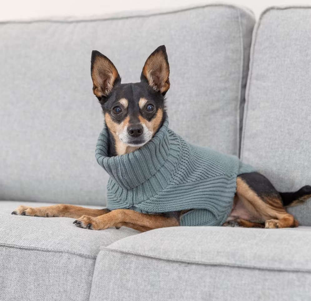 CityStyle Berlin pullover, sage