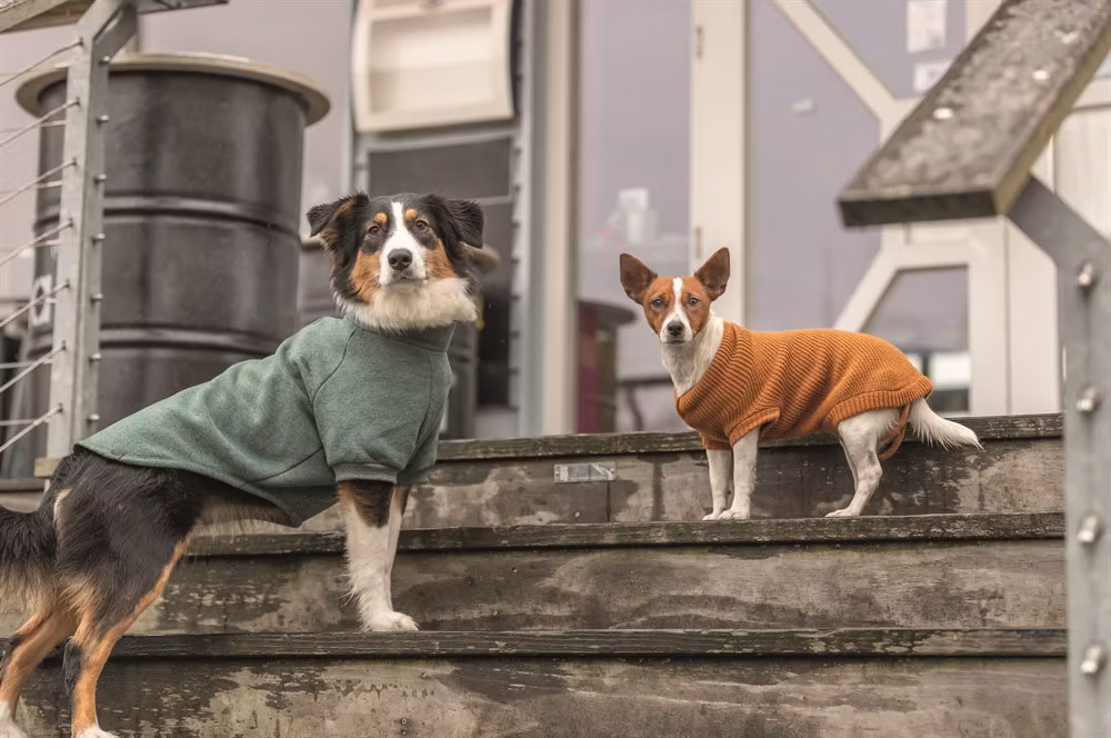 CityStyle Berlin pullover, sage