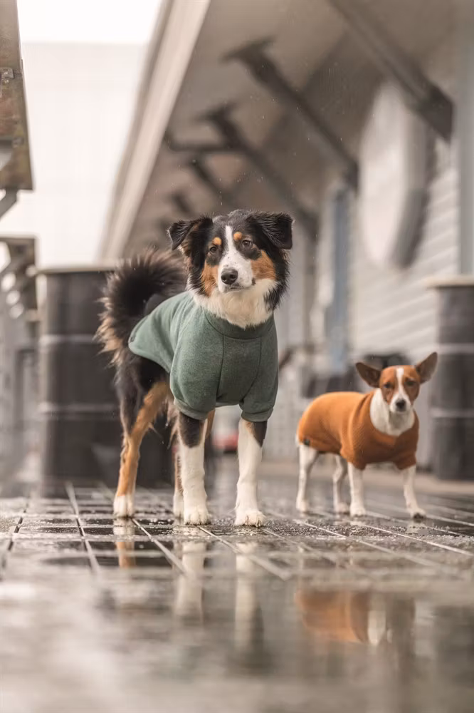 CityStyle Berlin pullover, sage