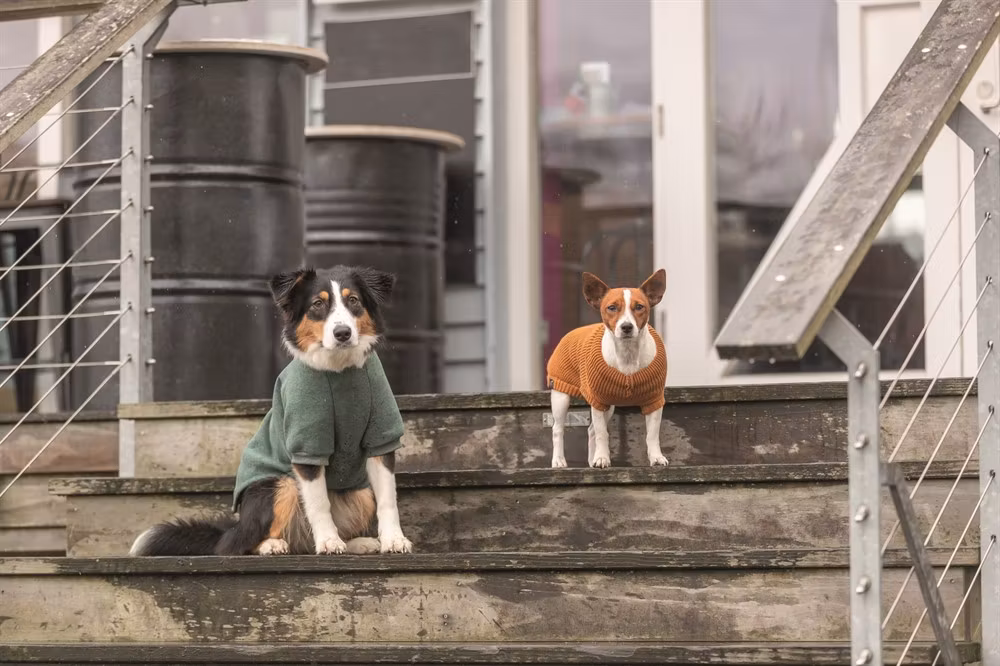 CityStyle Berlin pullover, sage