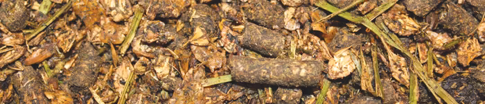 St Hippolyt NaturMüsli med örter 20 kg- hög kvalitet och god ekonomi