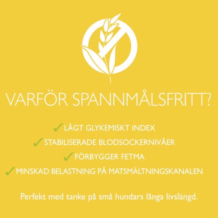 Brit Care Mini Sensitive Grain Free - Hjort, för känsliga vuxna hundar av små raser