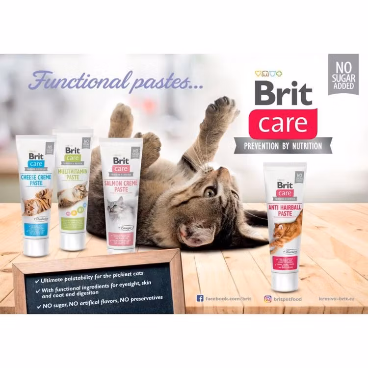 Brit Care Cat Functional Paste Multivitamin creme. Nyttigt kattgodis på tub 100 gr