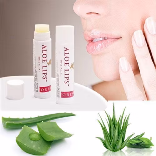 Forever Aloe Lips 22 grams