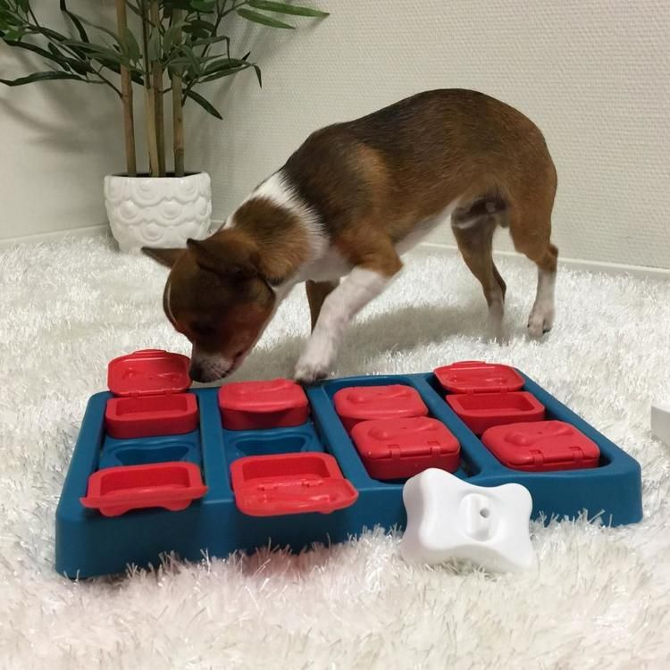 Dog Brick "Godisgömma" Nivå 2 -  ⌀ 31,5 cm  Nina Ottosson