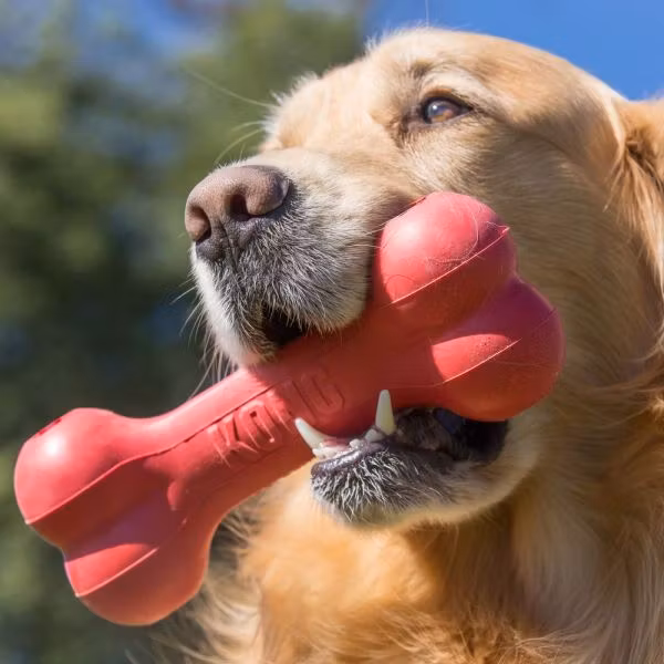 KONG Goodie Bone M 18cm