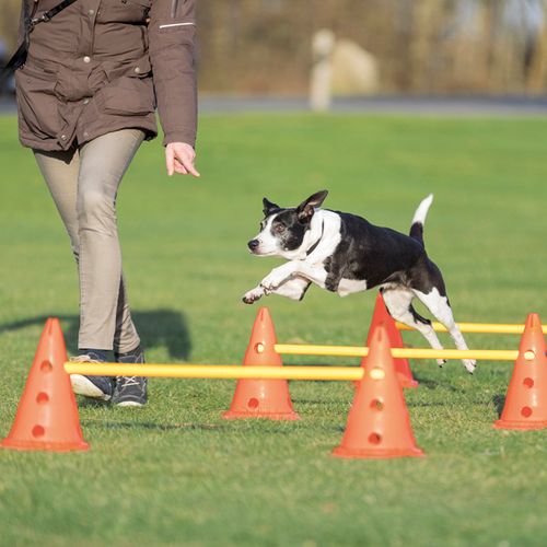 Dog Activity Hinderset, 6 koner och 3 hinder.
