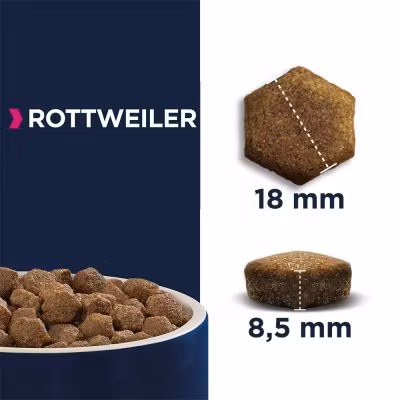 Eukanuba Dog Adult Breed Specific Rottweiler 12 kg