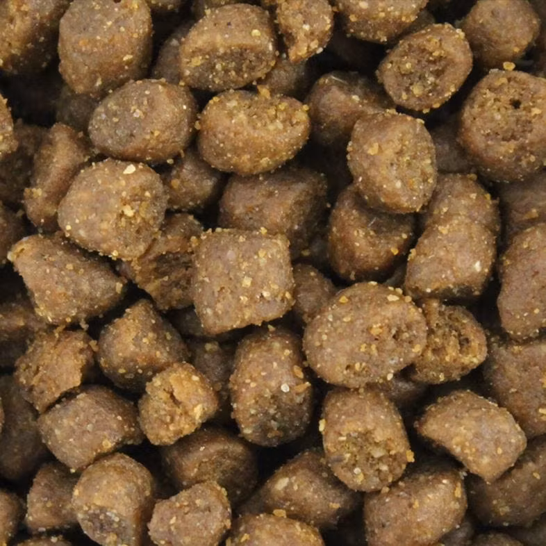 Eukanuba Cat Kitten Fresh Chicken. 2 el.10 kg