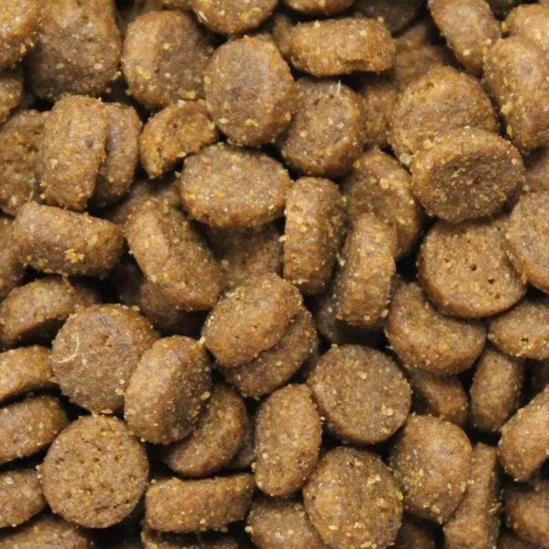 Eukanuba Cat Senior Chicken 10 kg