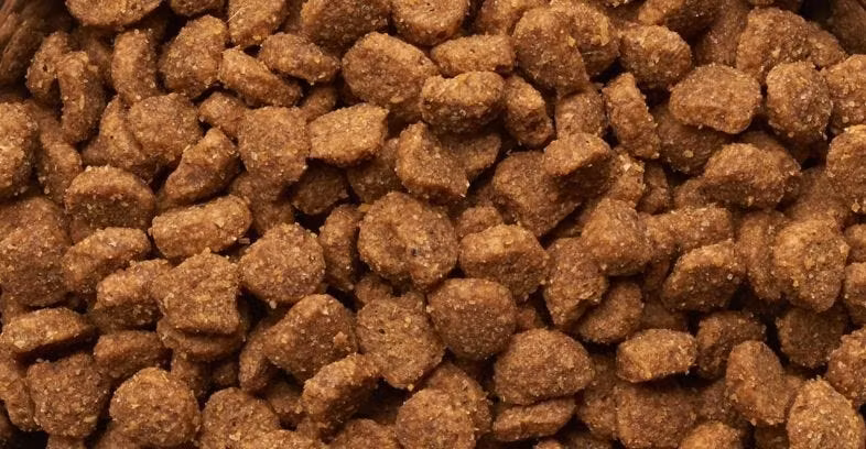 IAMS Cat for Vitality Hairball 1+. Färsk kyckling 10 kg
