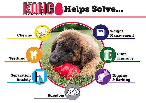 KONG Bounzer M Ø 10 x H 15 cm