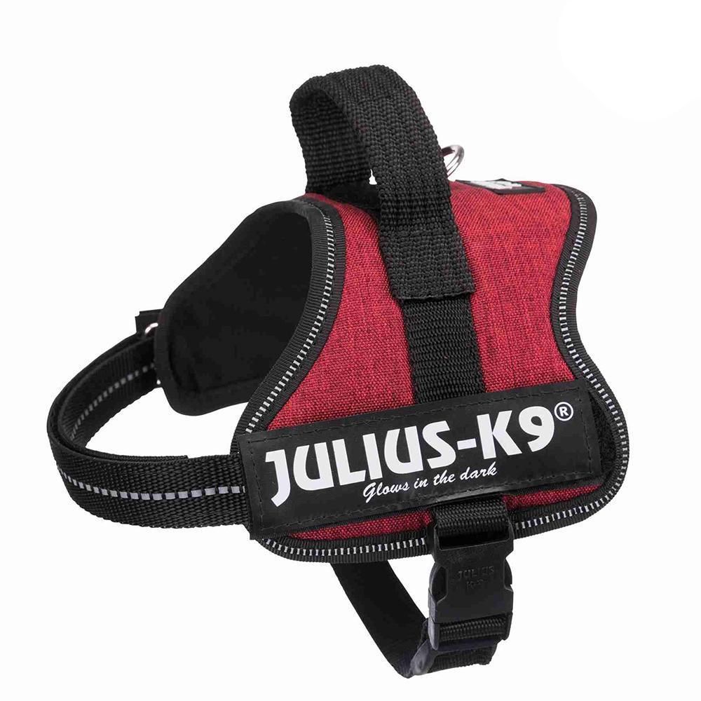 Julius-K9® Powersele, Mini-Mini/S: 40-53 cm/22 mm