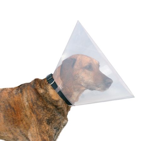 Hundkrage Transparent