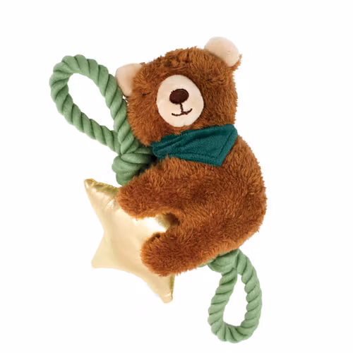Wish upon a star bear