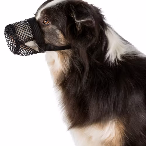 Skyddskorg, t.ex som skydd mot förgiftning, XS - XL