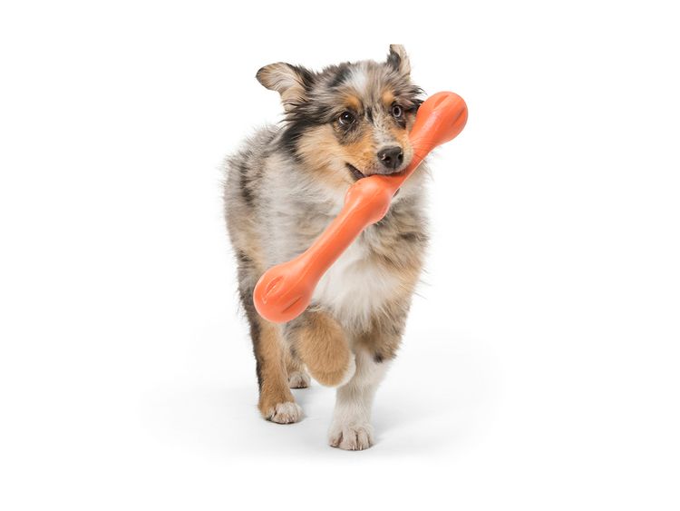 West Paw Zwig, Zogoflex L 35cm