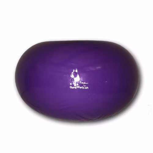 Flexiness® BigDonut- balansboll 45x80 cm