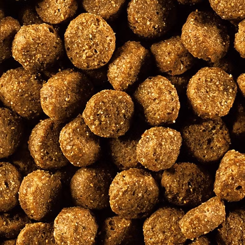 Eukanuba Dog Puppy & Junior Large Lamb & Rice 2,5 kg/12 kg