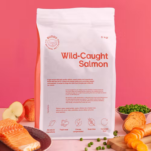 Buddy Wild-Caught Salmon/Lax Senior/Light 5 kg/12 kg. Fritt från tillsatser, spannmål, gluten och GMO.