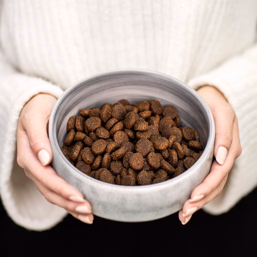 Buddy Puppy Love /Lax & kalkon 5kg - Fritt från tillsatser, spannmål, gluten och GMO.