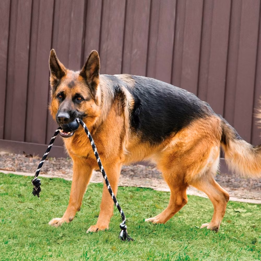 KONG Extreme Ball med rep 19cm