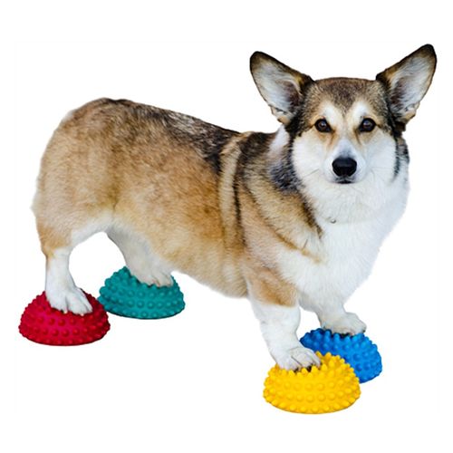 FitPAWS PawPods - balansboll 4-pack