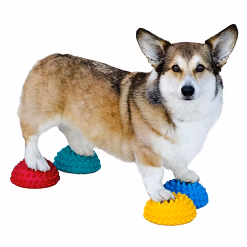 FitPAWS PawPods - balansboll 4-pack