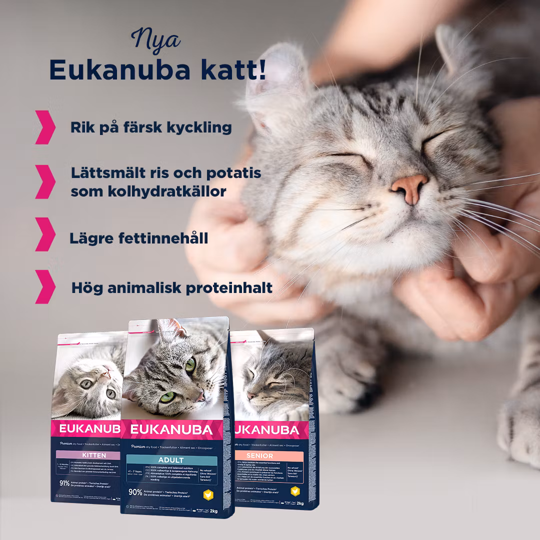 Eukanuba Cat Senior Chicken 10 kg