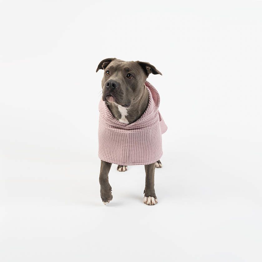 Benjamin Doris-Oversize Hundbadrock - Lavendelrosa