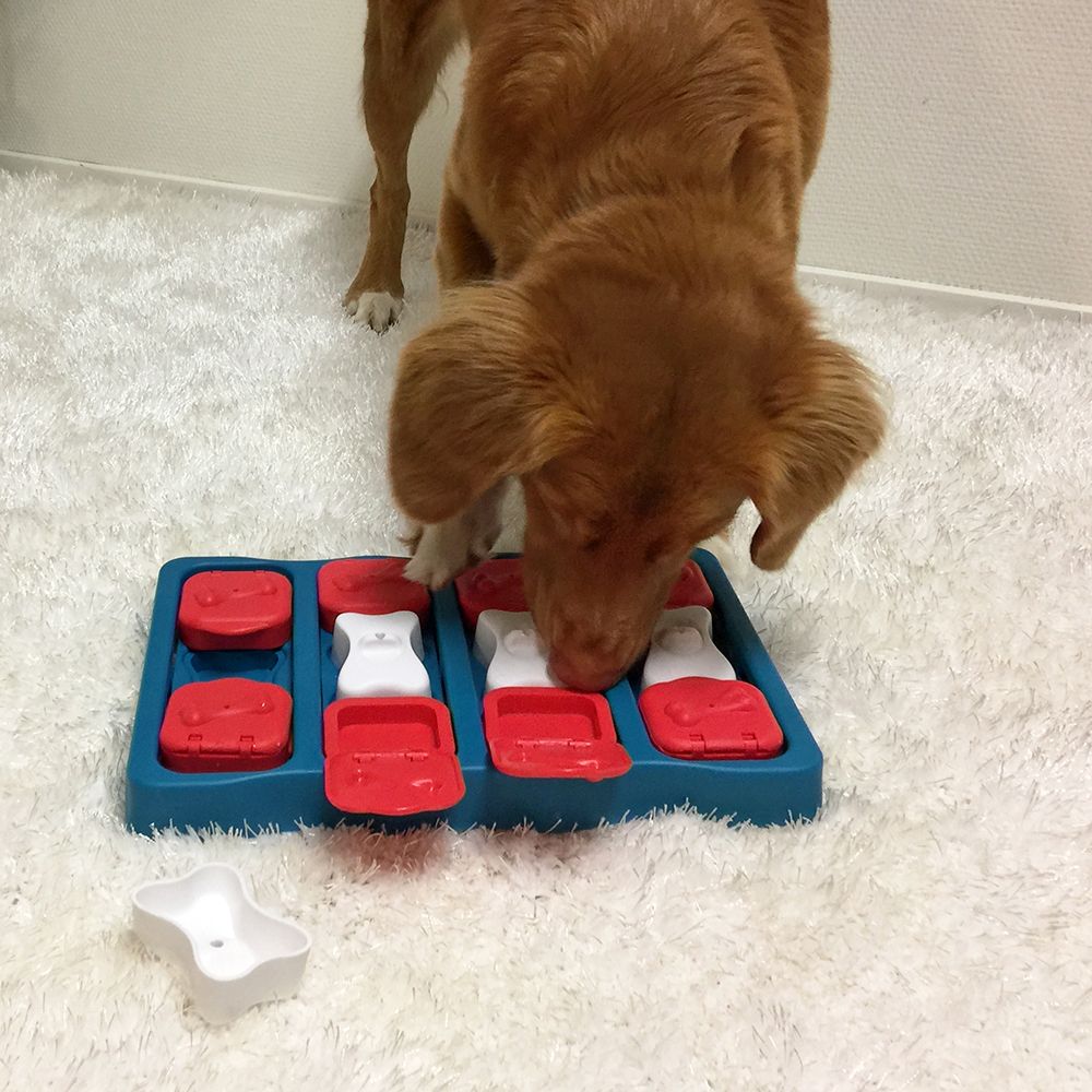 Dog Brick "Godisgömma" Nivå 2 -  ⌀ 31,5 cm  Nina Ottosson