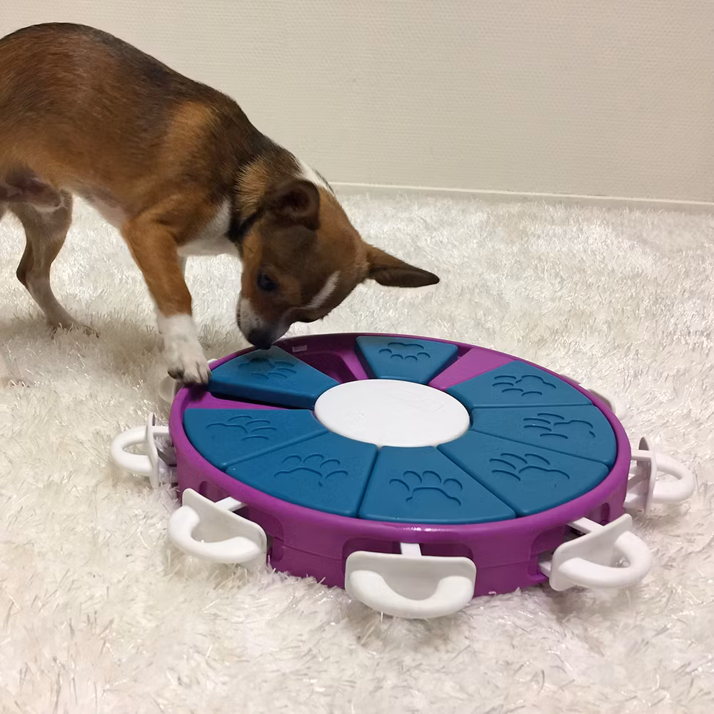 Dog Twister “Hide-and-seek”  Nivå 3 - ⌀  26 cm Nina Ottosson