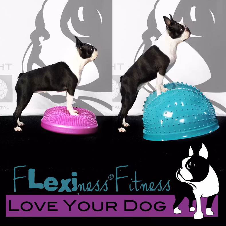 Flexiness® DonutDisc - balansboll 40x10cm