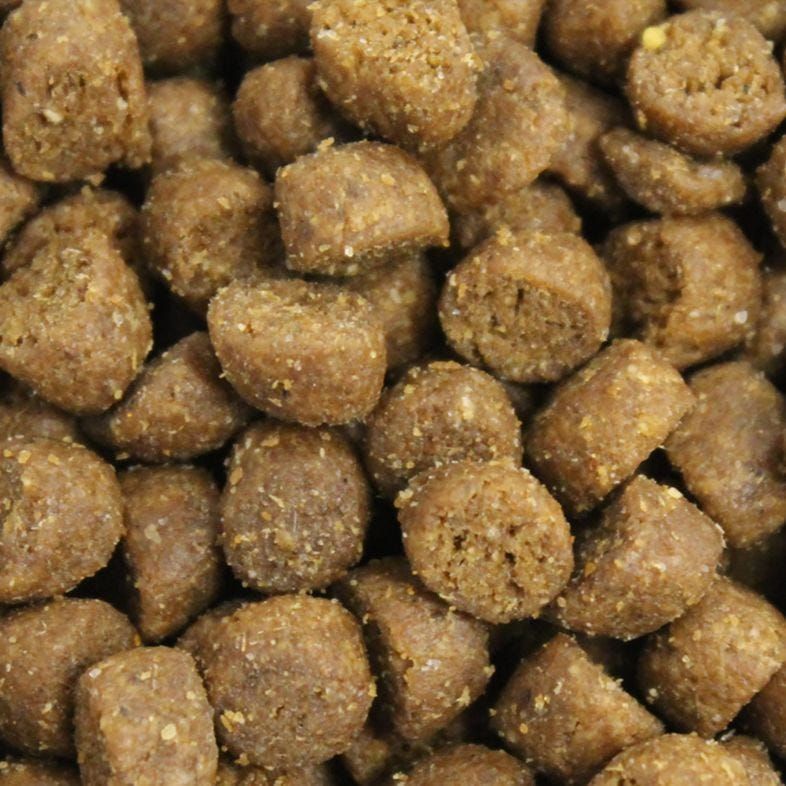 Eukanuba Cat Hairball Control Adult 10 kg