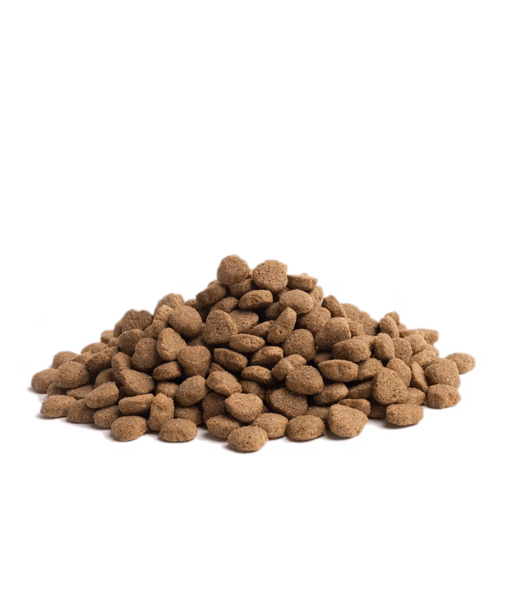 ESSENTIAL BALANCE 10 kg - en proteinkälla