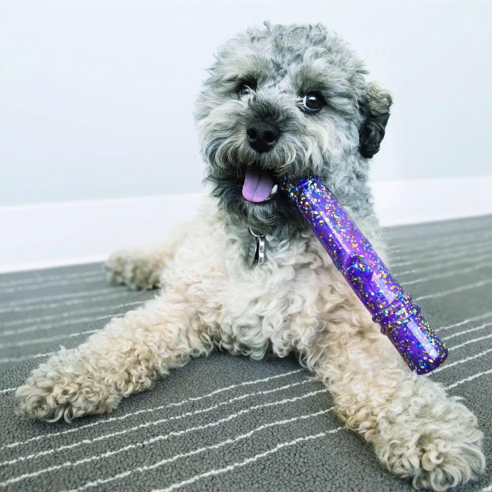 KONG Squeezz Confetti Stick M 20cm