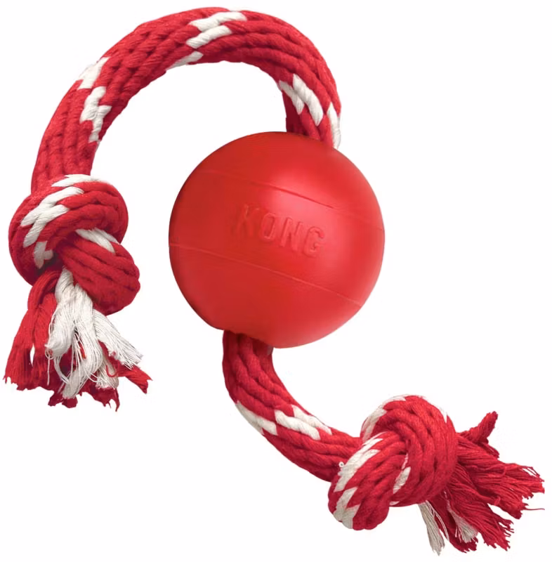 KONG Ball Classic med rep S 38cm