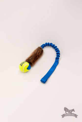 Elastisk bäverkampis med bäverskinn, med KONG Air pipboll ca 60 cm