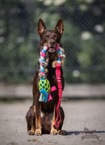 Elastisk Hol-ee fleece- & kaninskinnsfläta ca 85 cm Lila utan pip