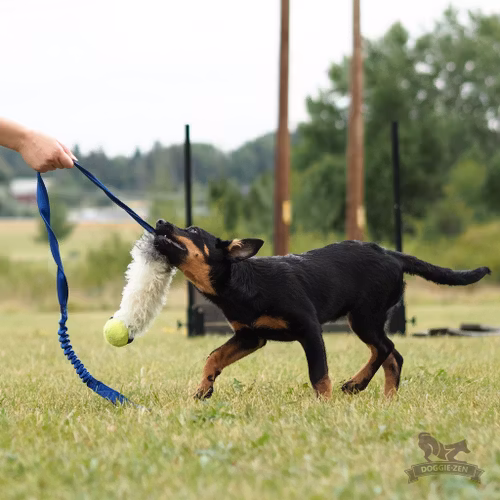 Elastisk fårskinnsjagarkampis L med KONG Air pipboll ca 115 cm