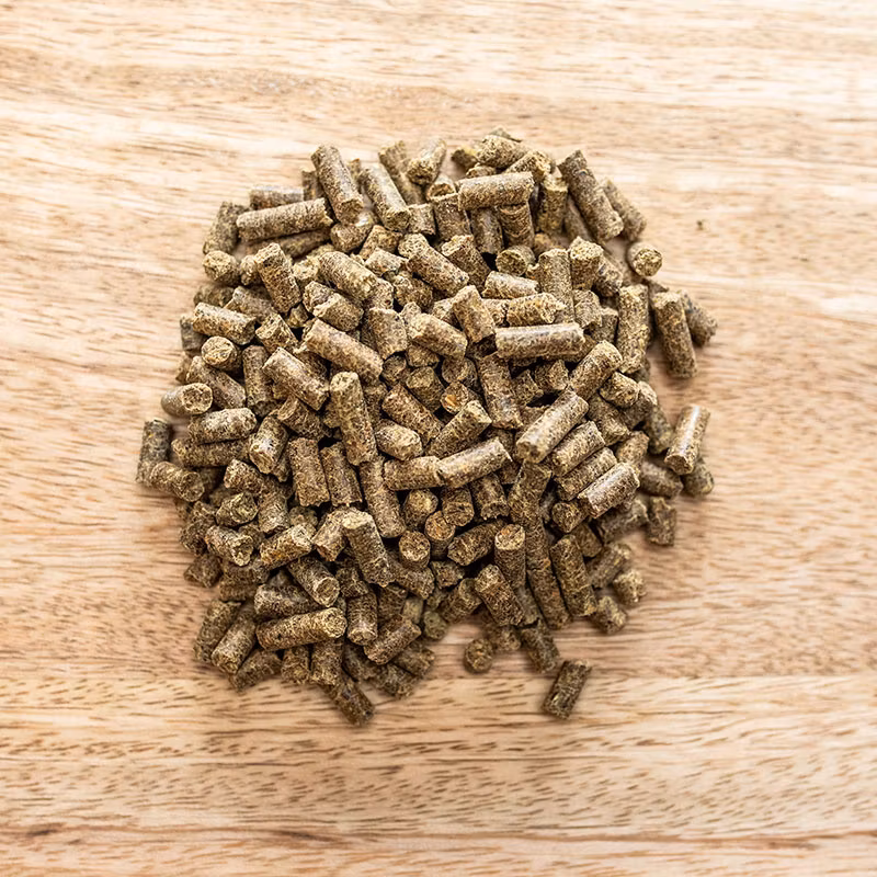 St Hippolyt Lamin® forte 3 kg-  vävnadsförnyelse