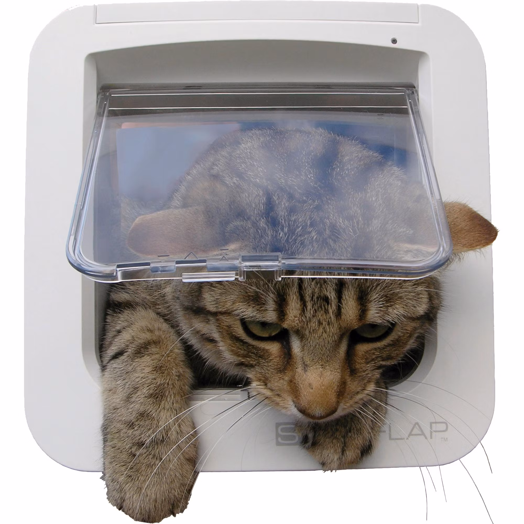 Kattlucka SureFlap med microchip id, 21 × 21 cm, vit