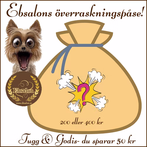 Ebsalons överraskningspåse med tugg & godis- Spara 50 kr!